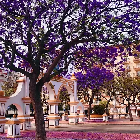 Apartment Higueronrentals Casa Flora Malaga